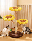 807d9245-9f55-4cc0-b482-cd29f9abd205-Max