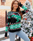 Round Neck Long Sleeve T.Rex Pattern Sweater