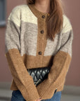 Color Block Round Neck Button Up Cardigan