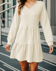 V-Neck Long Sleeve Mini Dress