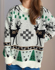 Christmas Element Round Neck Long Sleeve Sweater