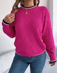 Contrast Trim Round Neck Long Sleeve Sweater