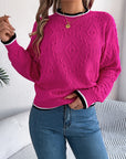 Contrast Trim Round Neck Long Sleeve Sweater