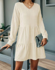 V-Neck Long Sleeve Mini Dress