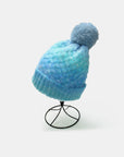 Gradient Knit Hat with Pompom