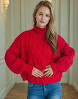 Cable-Knit Turtleneck Long Sleeve Sweater