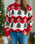 Christmas Element Round Neck Long Sleeve Sweater