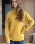 Turtleneck Long Sleeve Sweater