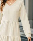 V-Neck Long Sleeve Mini Dress