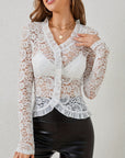 Ruffled V-Neck Long Sleeve Lace Top