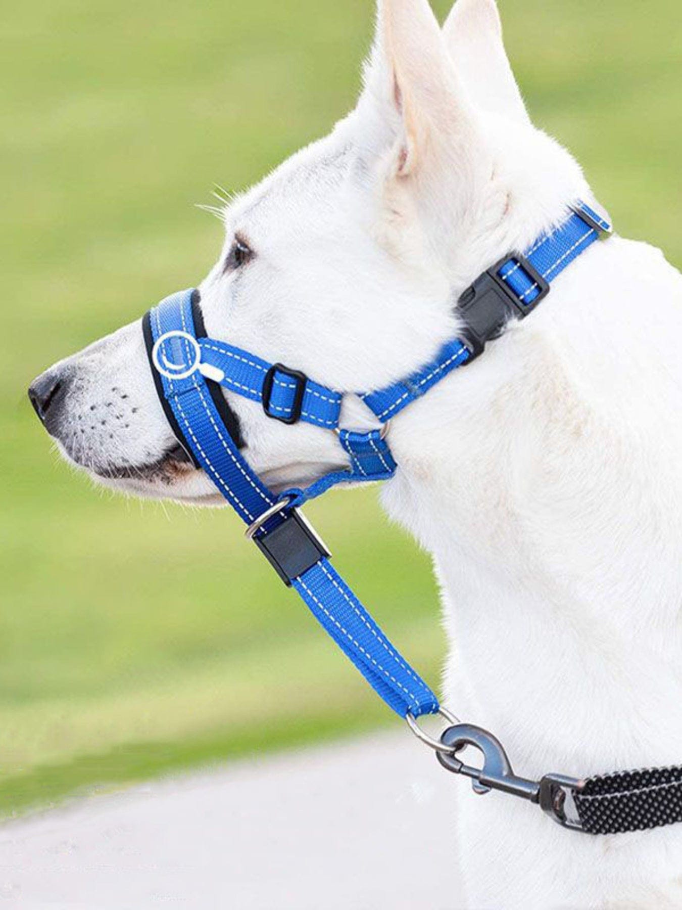 92e94b16c5bb4ceaa3002ec50752b7e4-Max