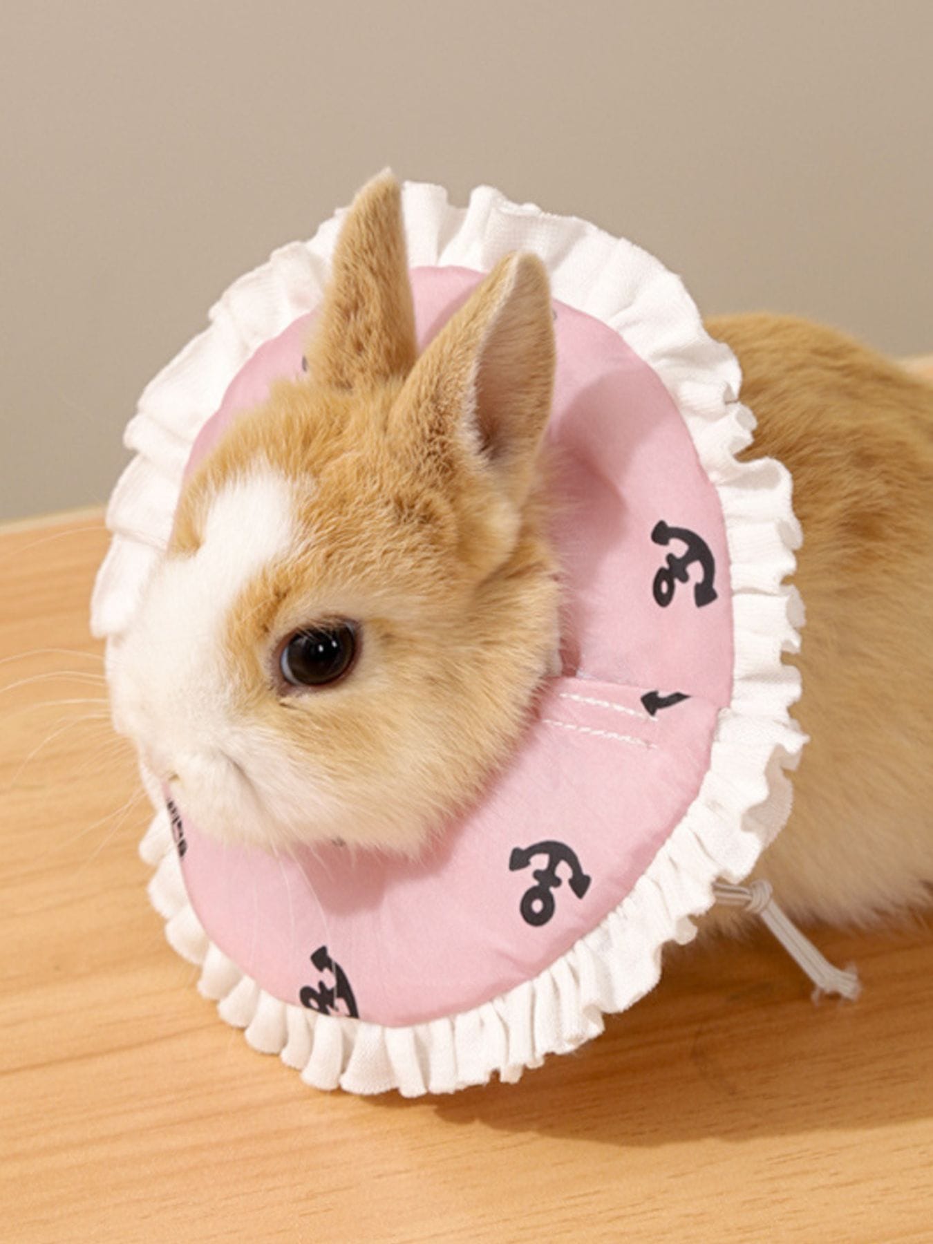 8a2c39ba-1fed-45c0-b558-1dbf8a68cb6a-Max