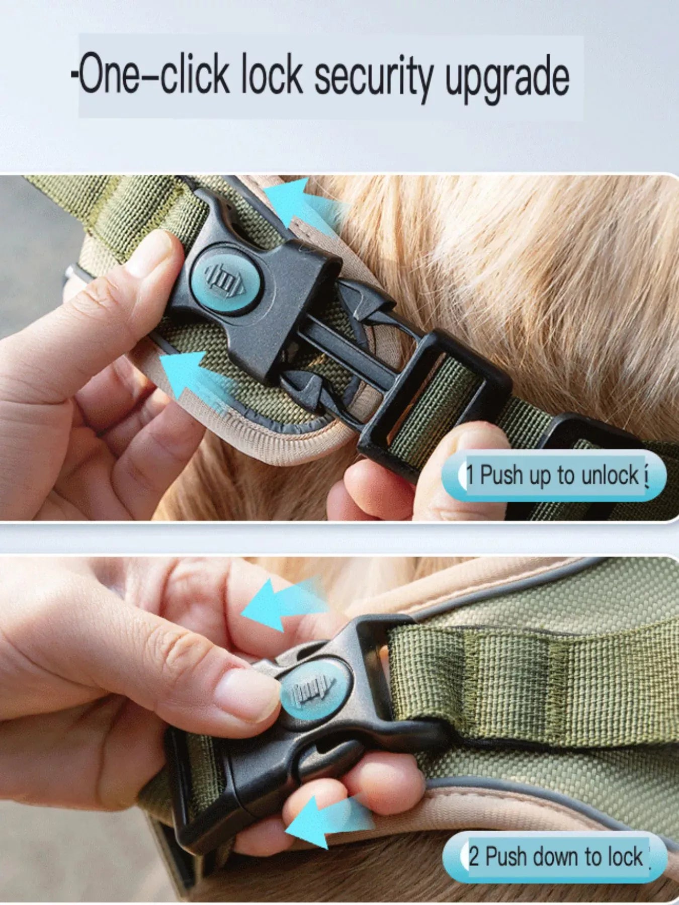 c92c7b52-92df-4d8e-8993-525c78c3238c-Max-Origin