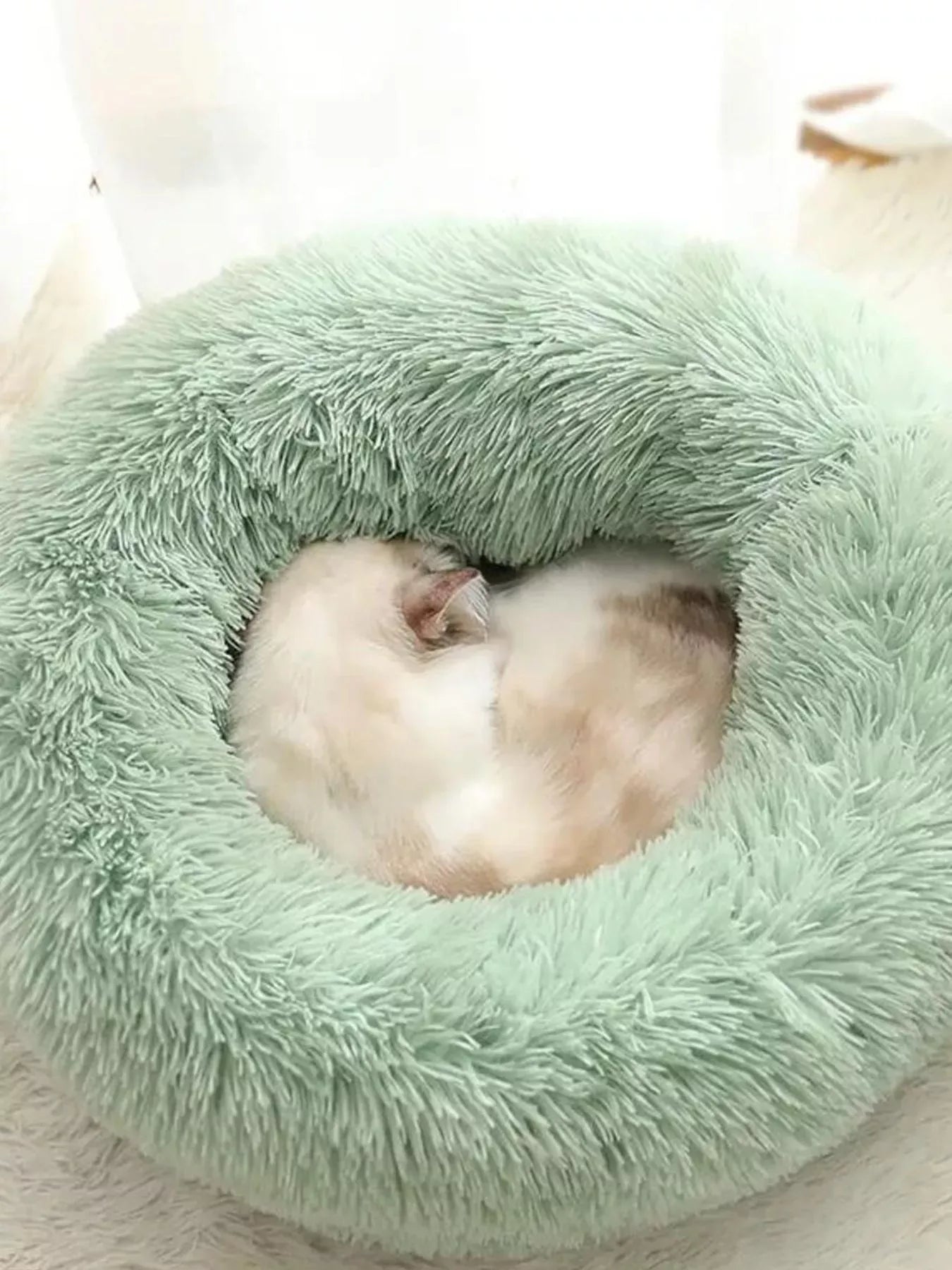 2ed0ef78-2d21-4bca-b268-a5a56dfc7a1a-Max-Origin