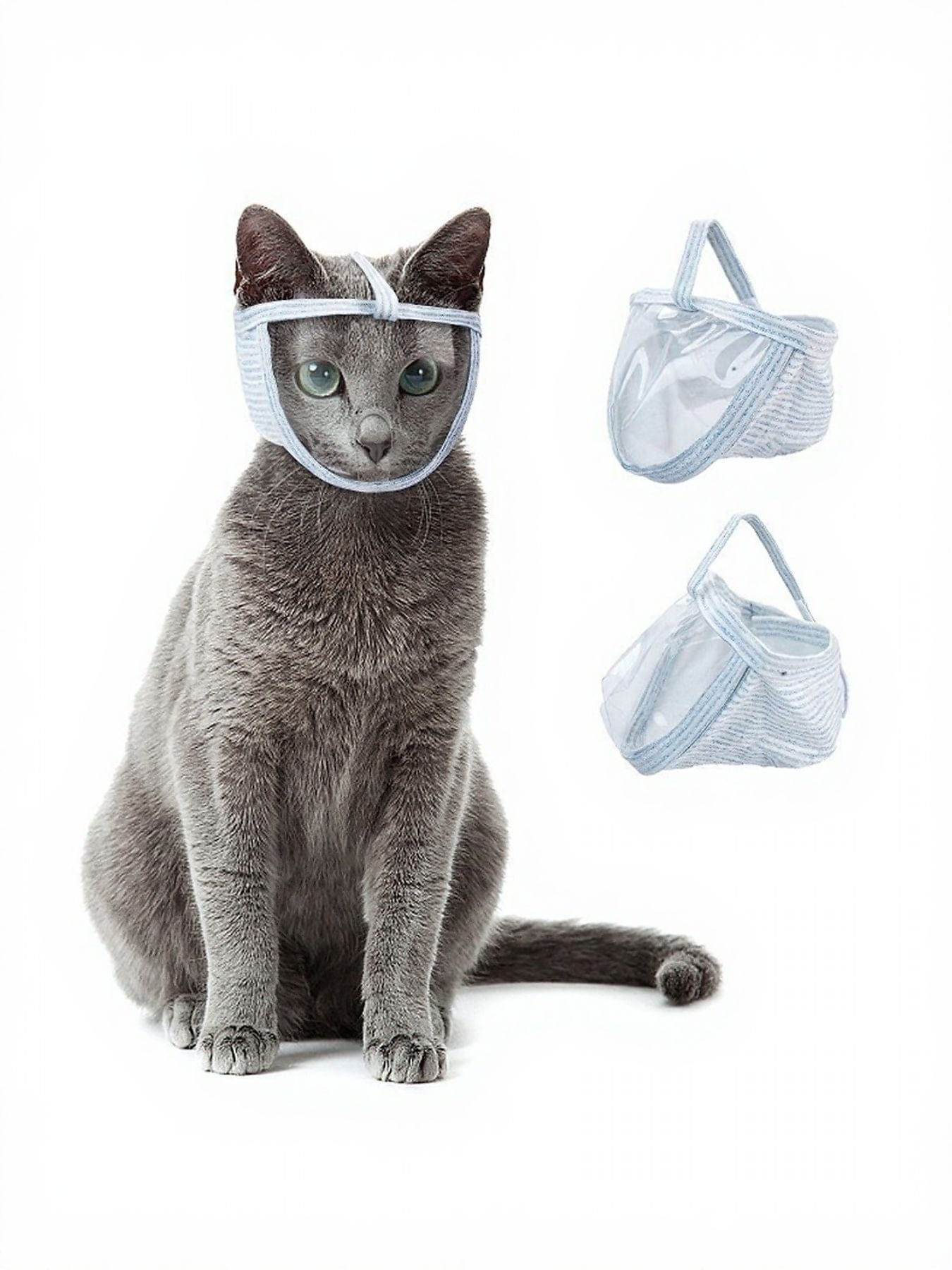 5a73f11a-306e-4af0-8ad9-76afc9163366-Max