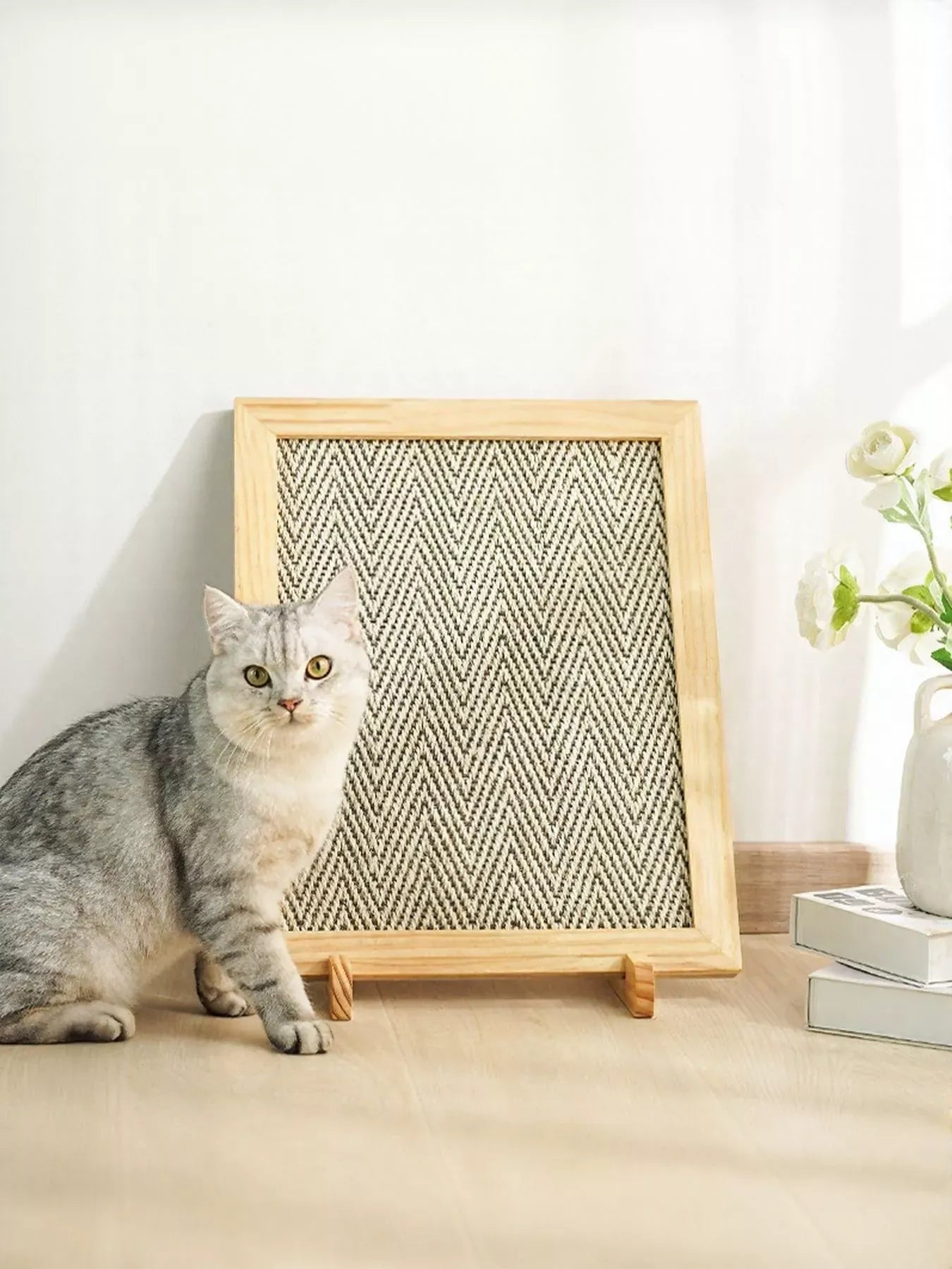 bd96b8b8-3382-45cc-8ea6-a7c80b579061-Max-Origin