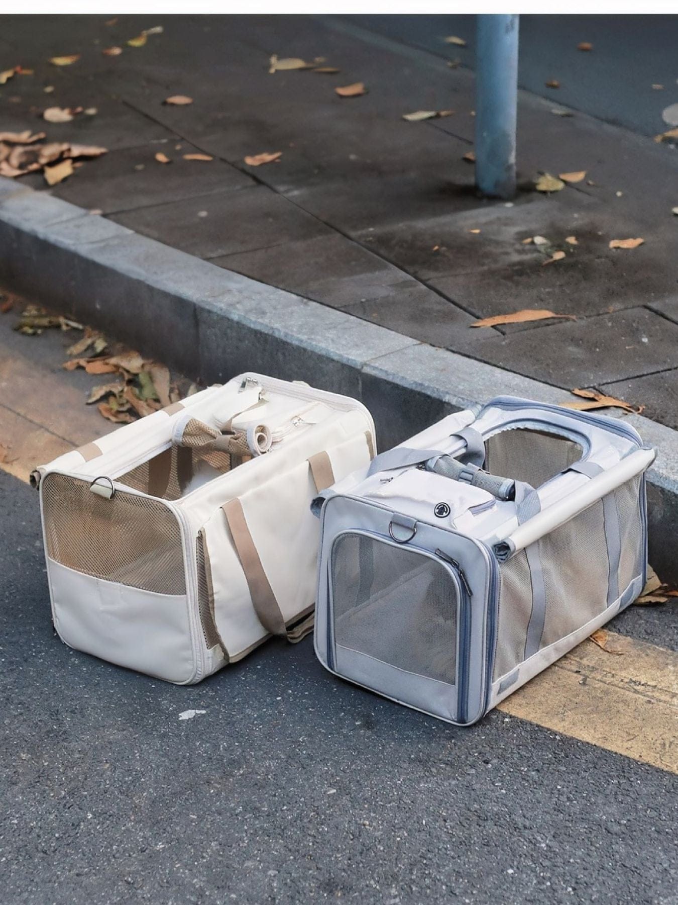 a419540c-99d0-4530-b5b7-ef5a72951dc5-Max