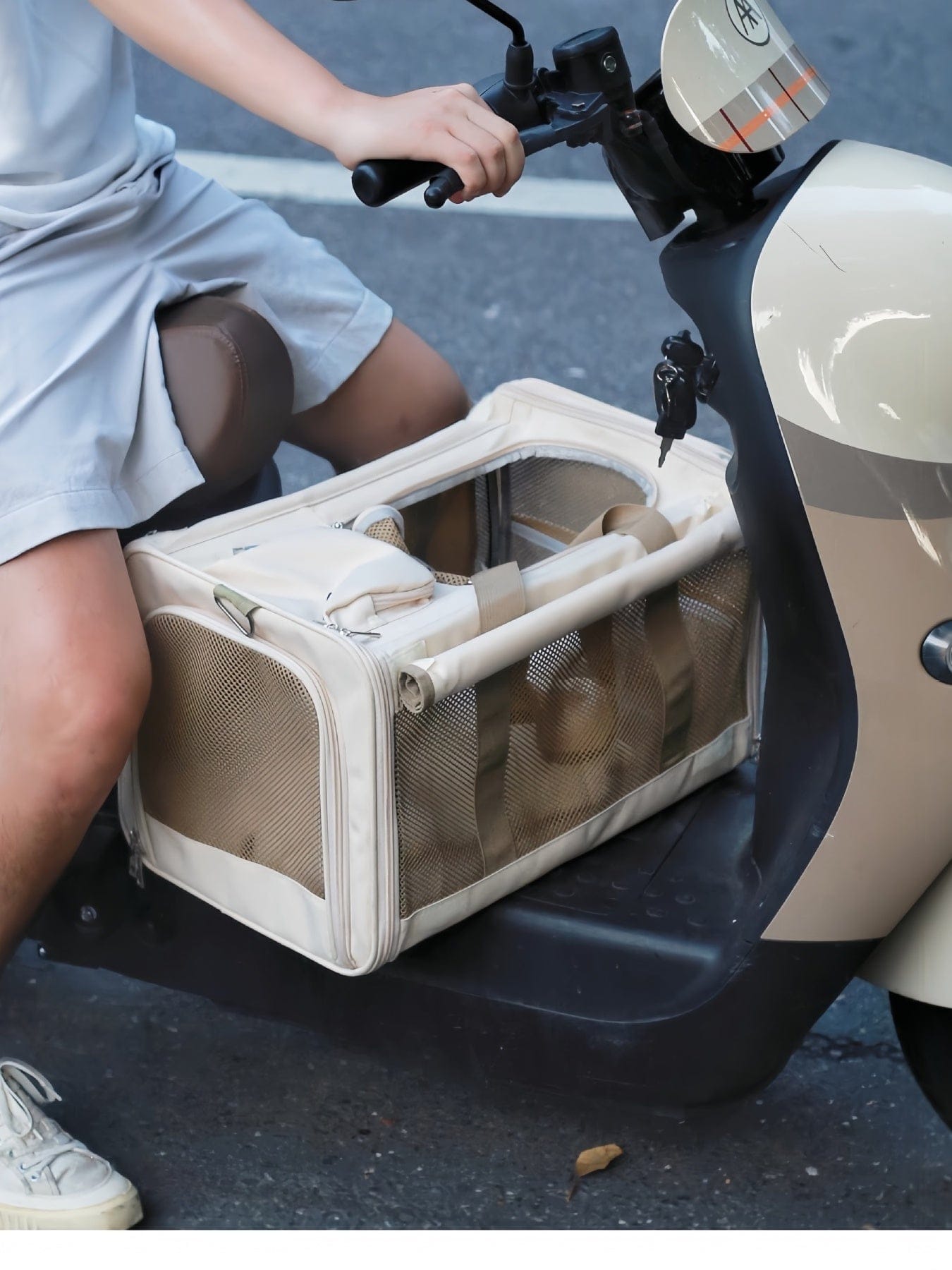 8d19de02aa6f4b37af1f41d089bc04a2-Max