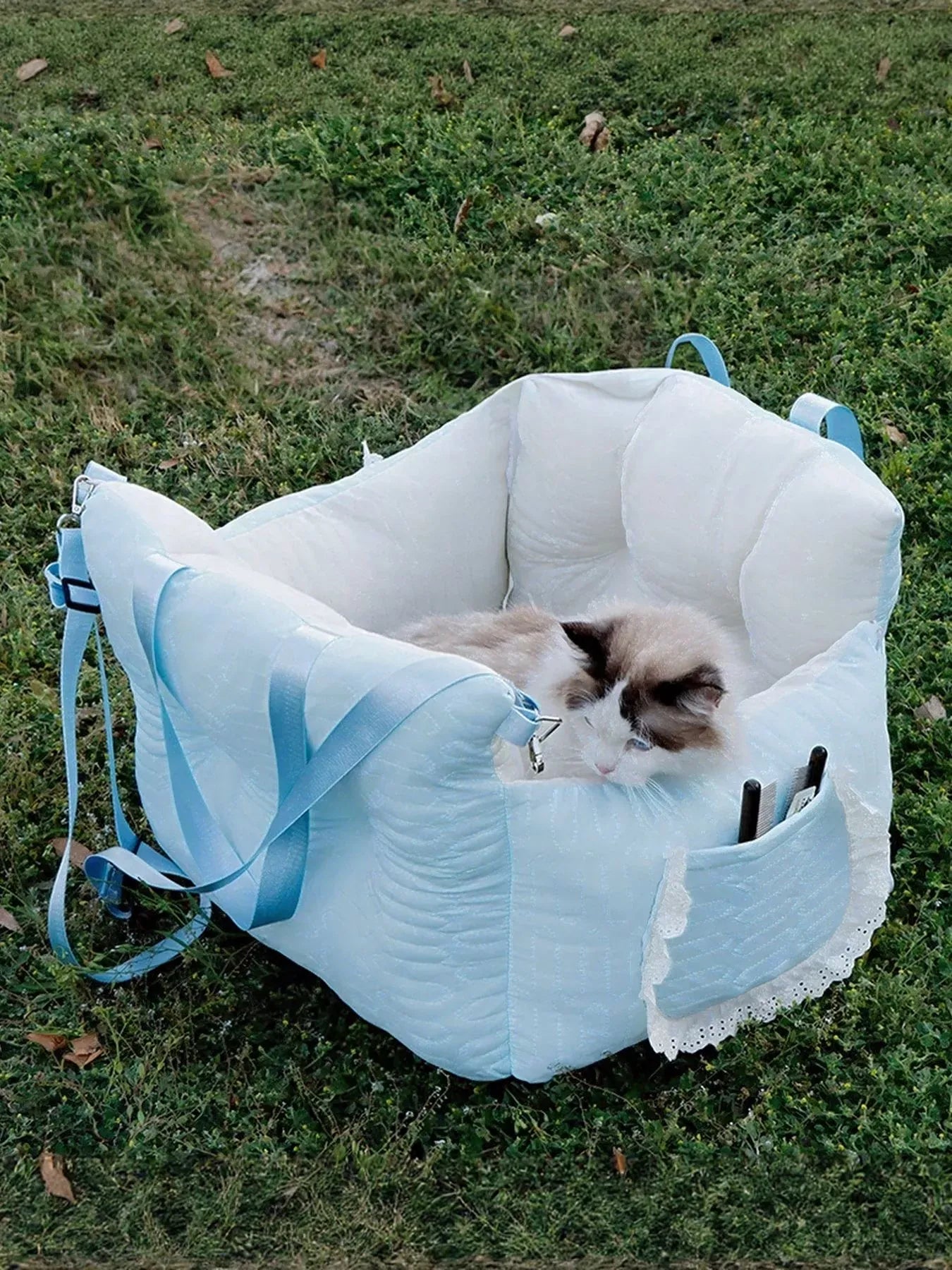 219c9b65-5067-4ac6-8b91-ab85903888f1-Max-Origin