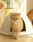 f0906984-200e-437d-bac8-9b31fa110d27-Max