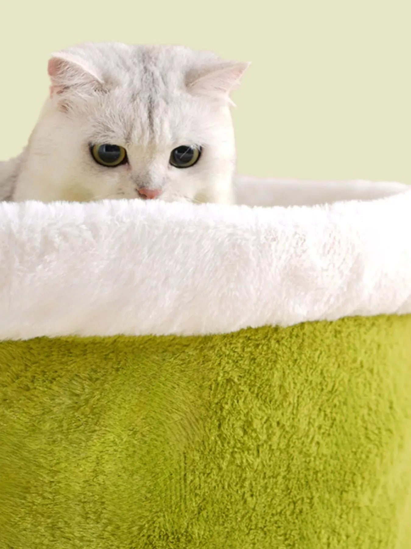 9890d9a2-d0b3-4a7b-bc4f-b4f158e47a12-Max-Origin