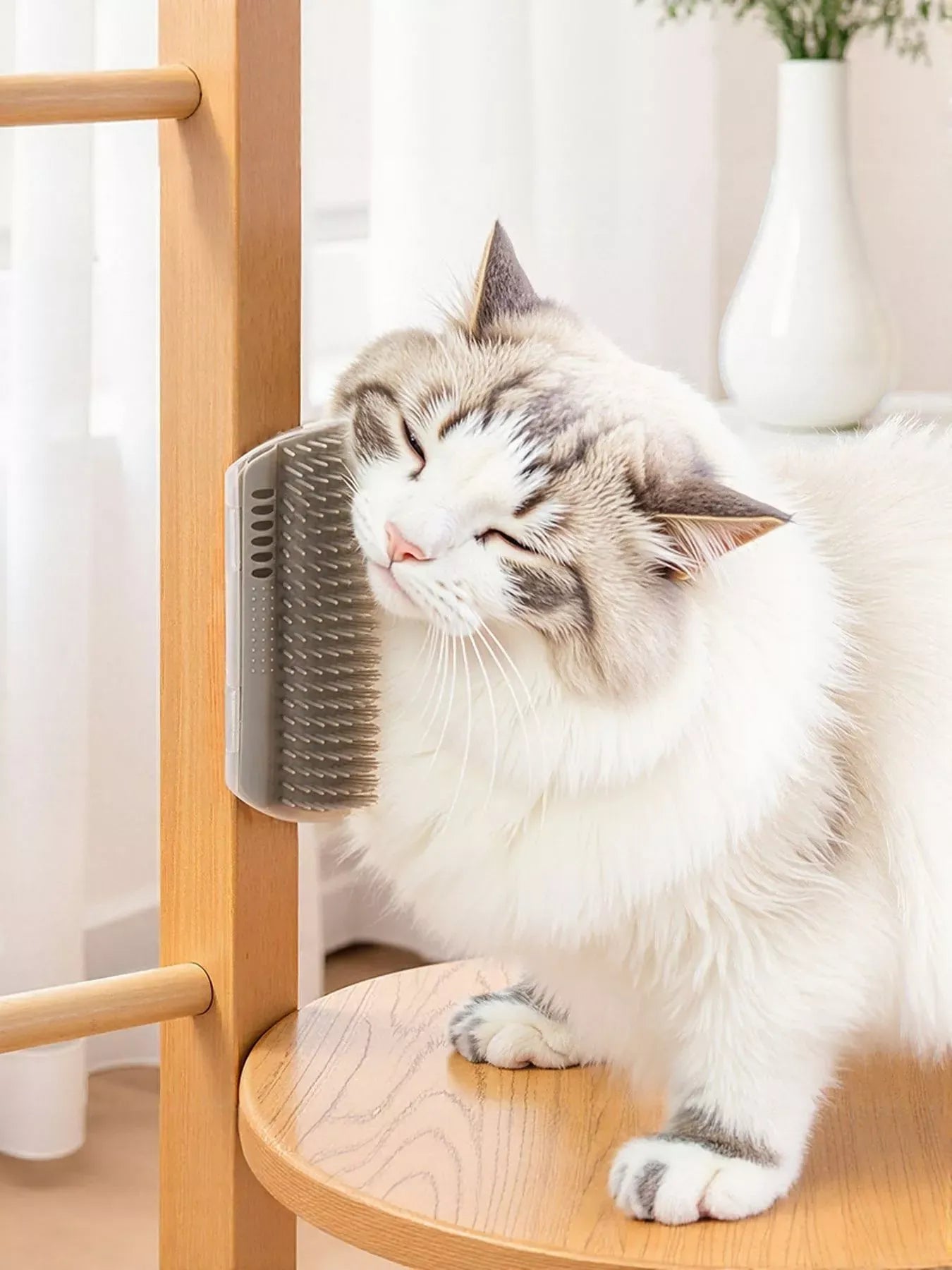 c10d7400-465c-458c-86d8-044412e67050-Max-Origin