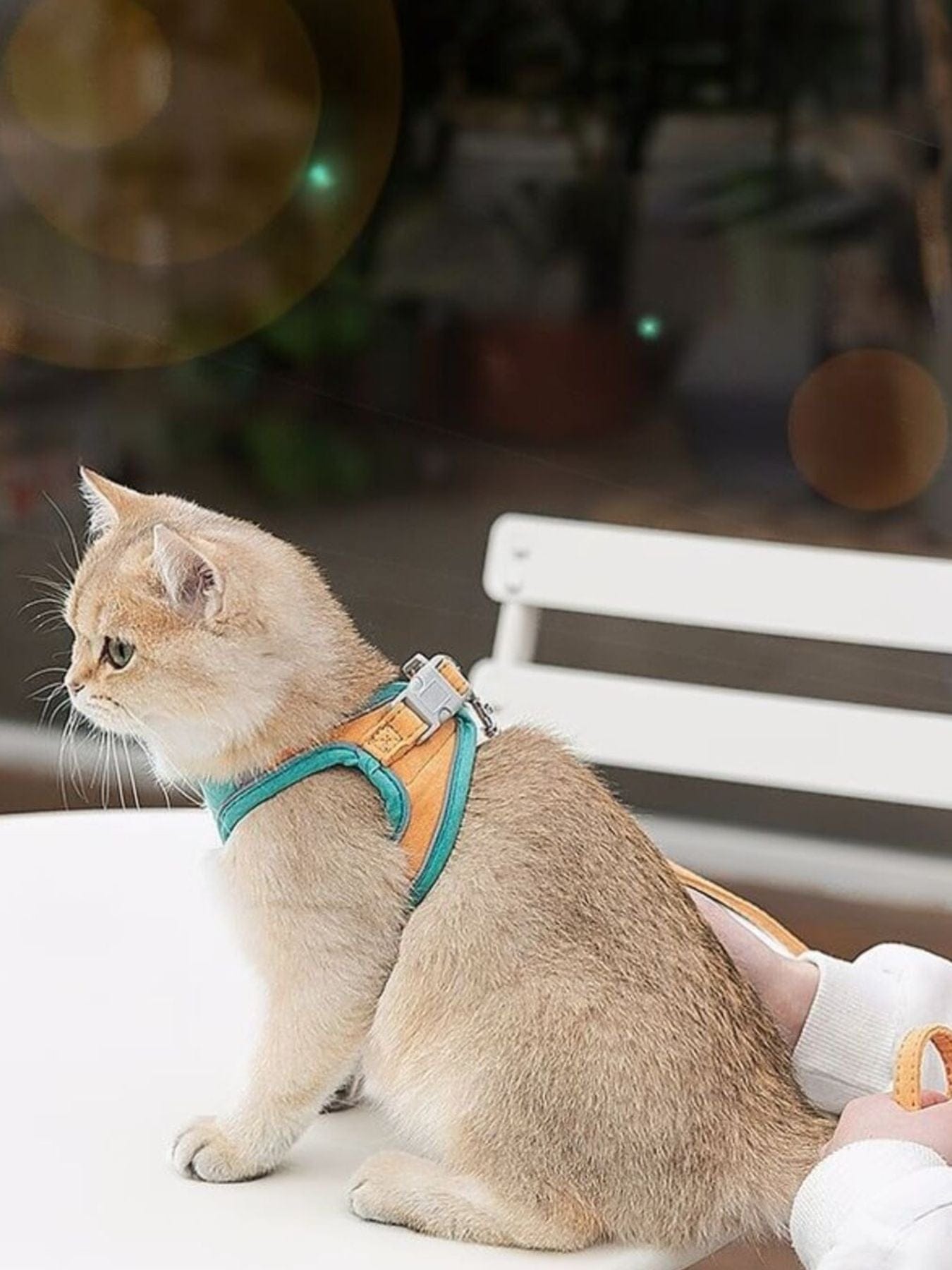 925ef4b6-49f7-47cd-a64c-2845aa66a3c7-Max