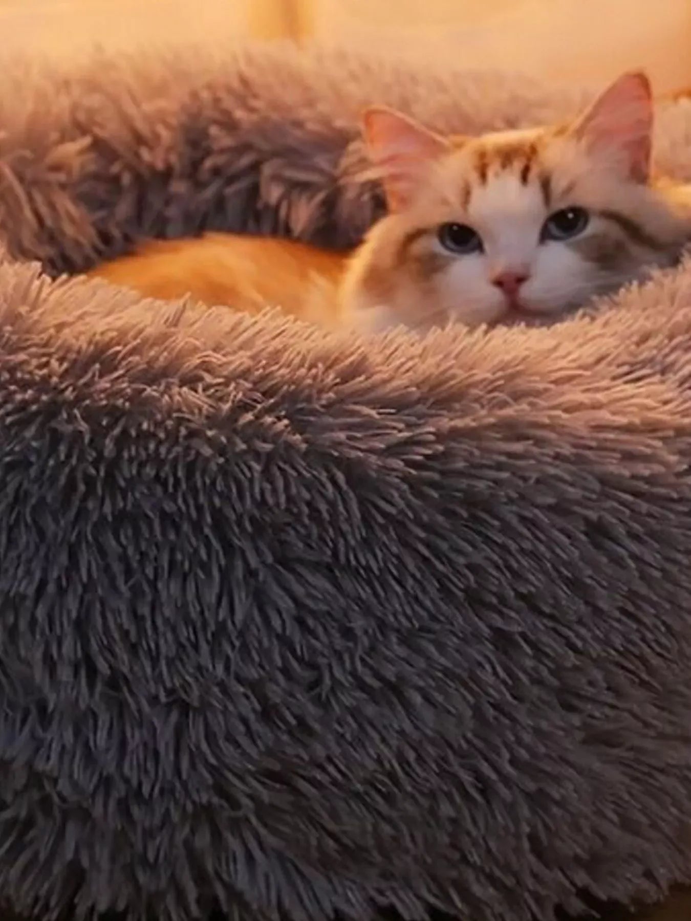 fd86068f-c42d-41bc-a70e-26abb64488c3-Max-Origin