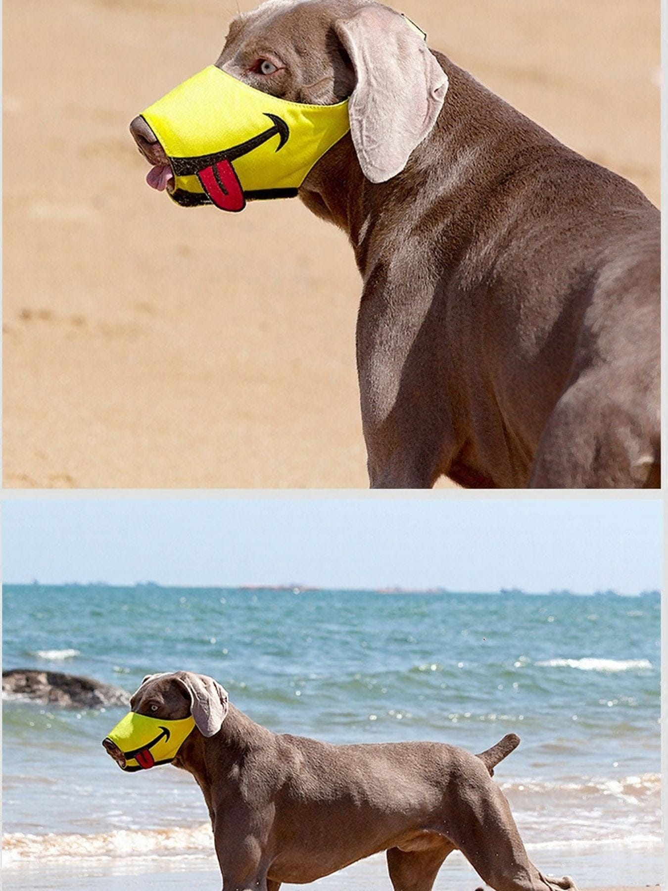 f0a876ab-fe22-4a37-8db1-94f4f1955dd3-Max