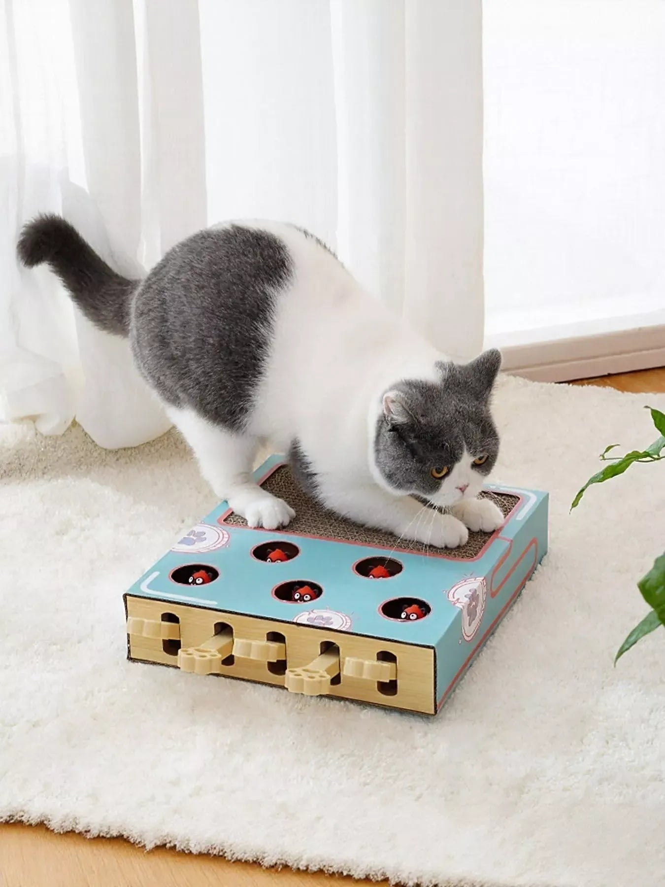 864b198f-d175-462e-a090-426b75a137e3-Max-Origin