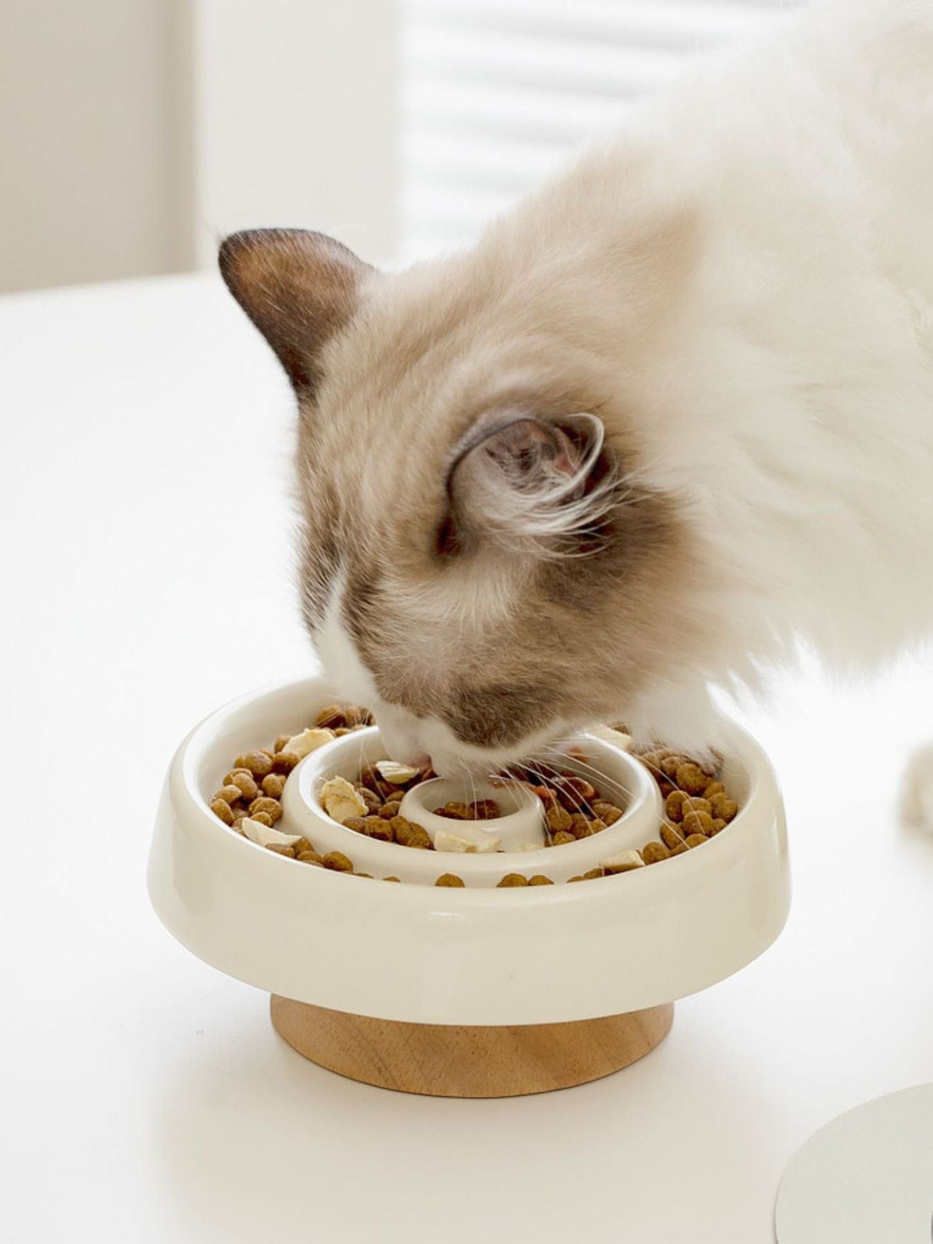 ac35293a-be55-4442-9788-689ec824a906-Max