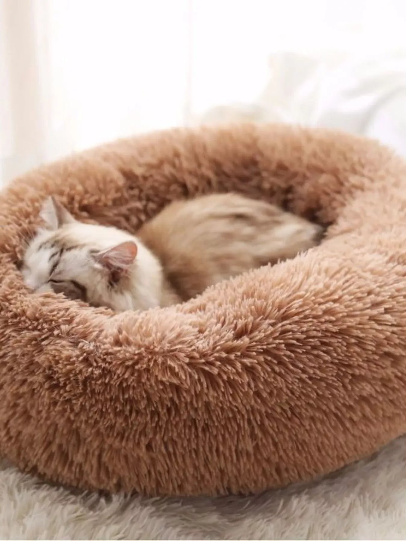 ac7a9b62e64943468cbccdcf385b7e30-Max-Origin