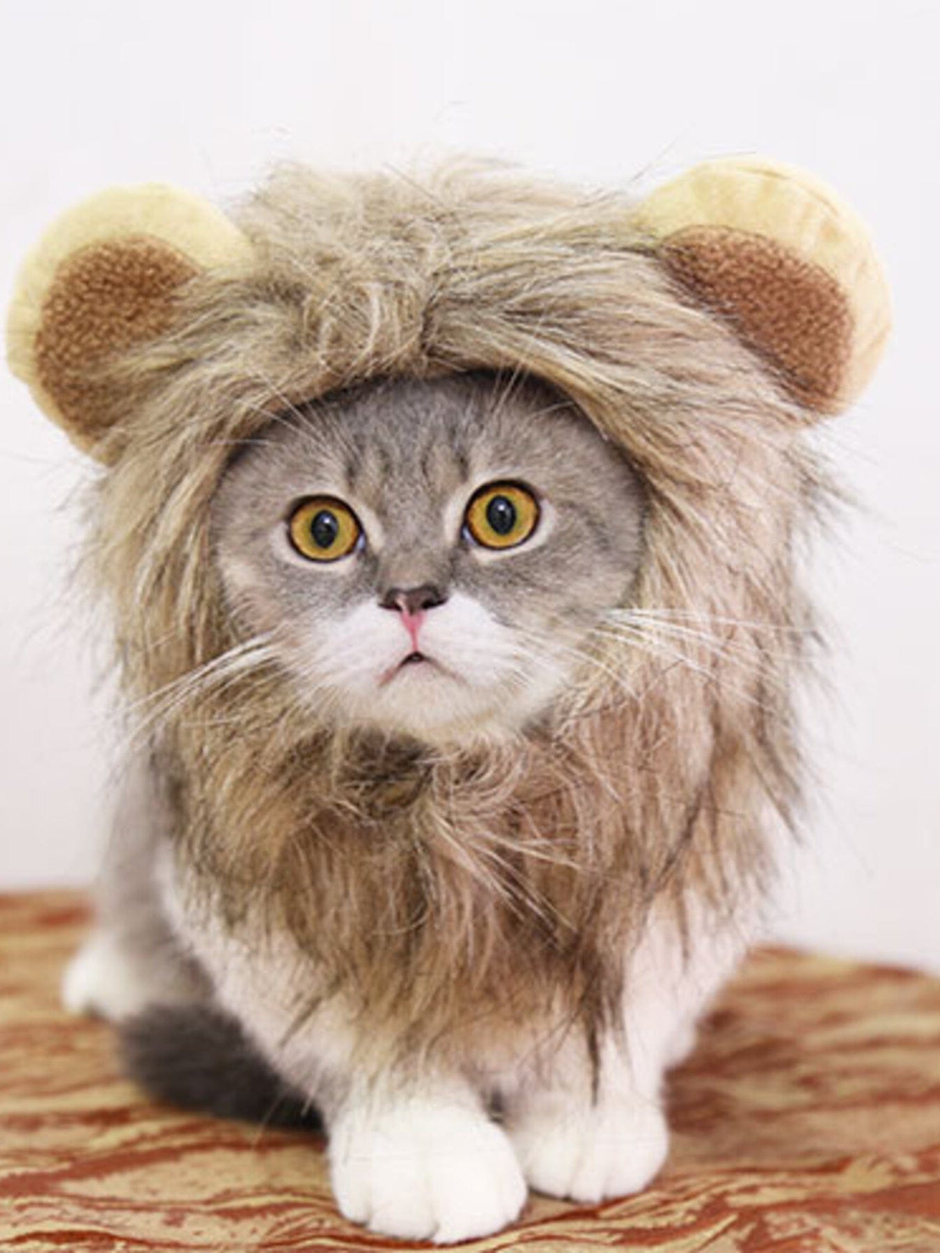 c6f5392c86fb4687b6425d1440eacb95-Max