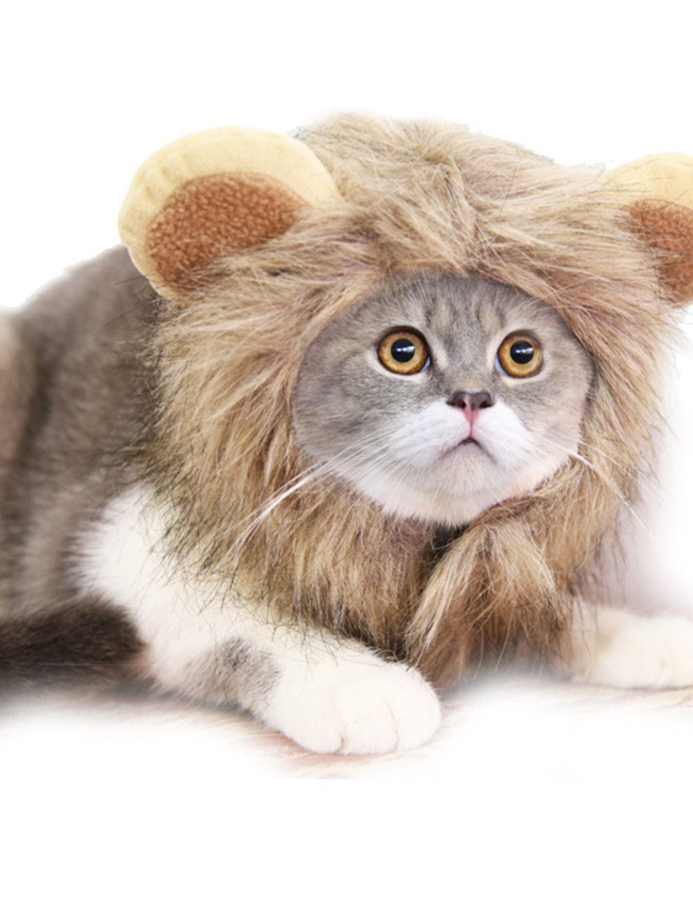 2304d5788055420ebece7c689bc85cde-Max