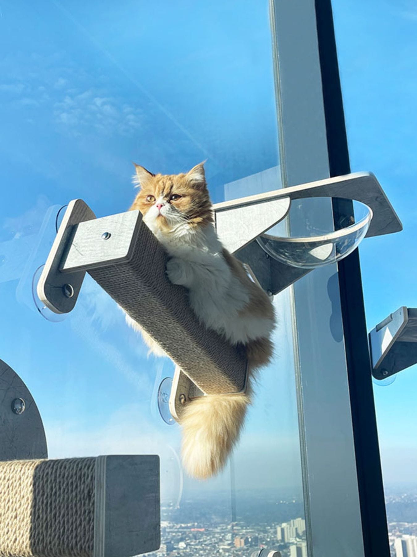 720f2675-22ba-44d4-bd7d-365f1478fcf6-Max