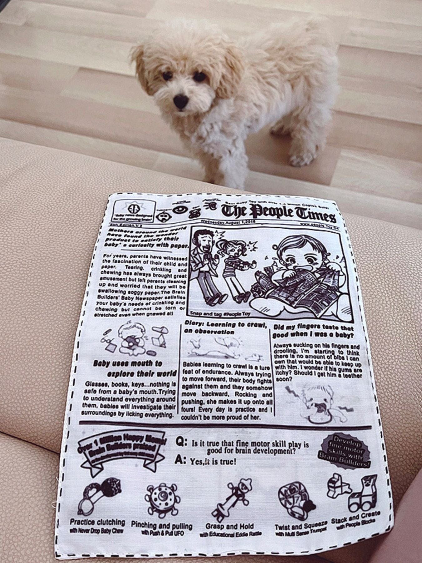 3f3ab78d-bca6-4338-a500-e26e23575133-Max