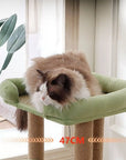 043e0011-1f28-4ee1-91b9-0fe467335953-Max-Origin