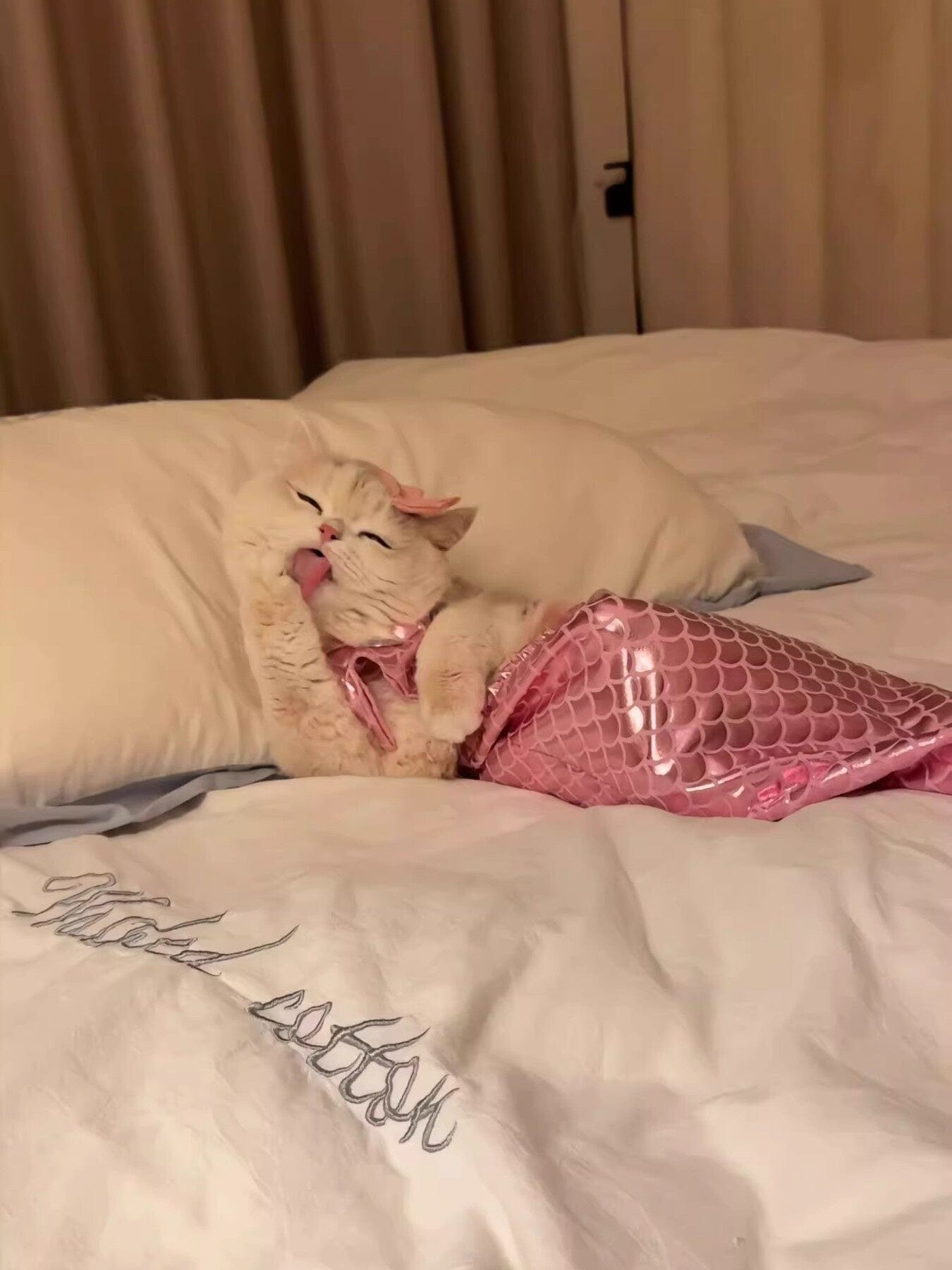 becf0f3626af4aa6a27ddb38fbd8e19a-Max