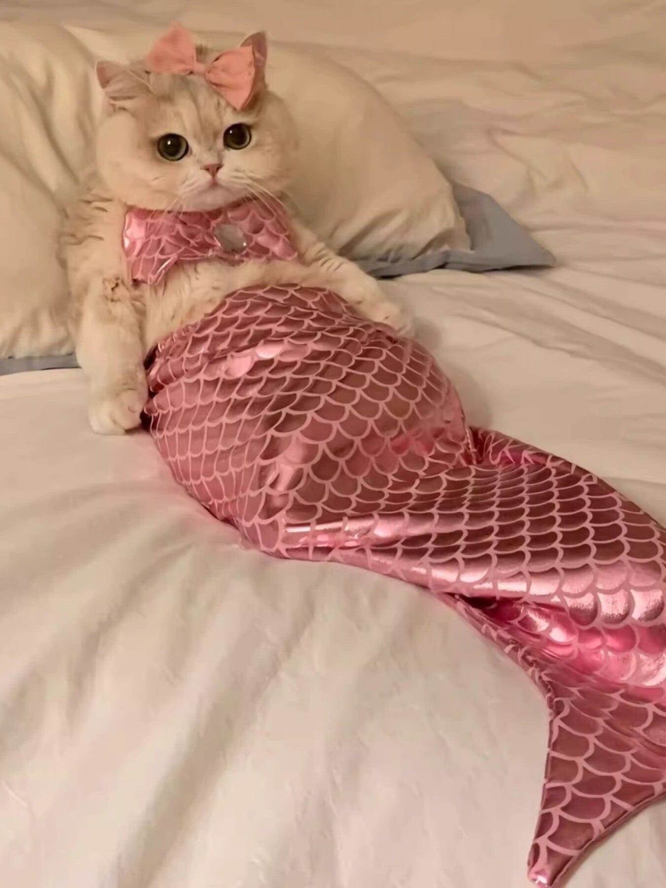 922707dfdf2047449728fd547a012390-Max