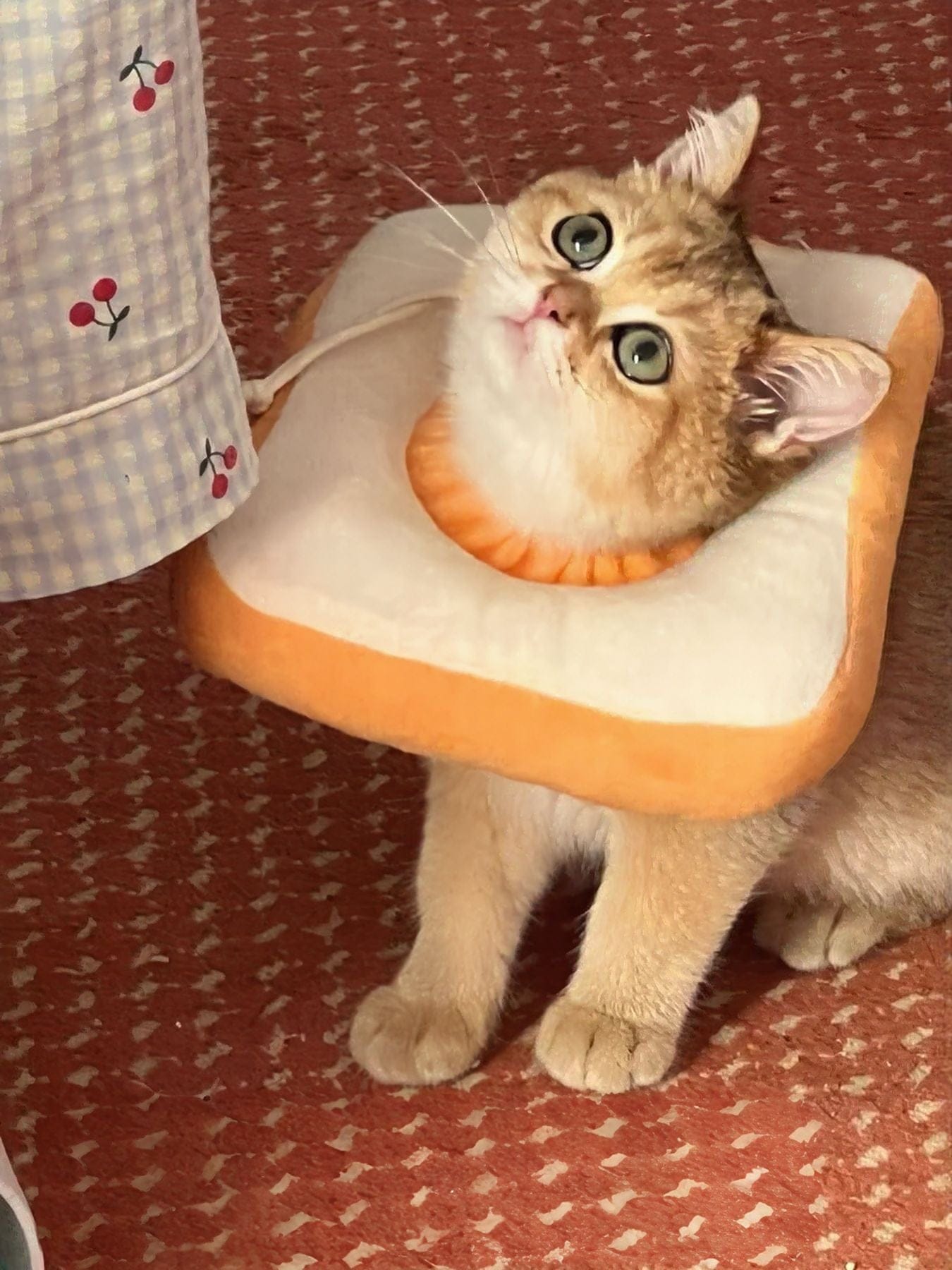 893a6d66-c8f2-4b59-8a6e-90478459dd59-Max