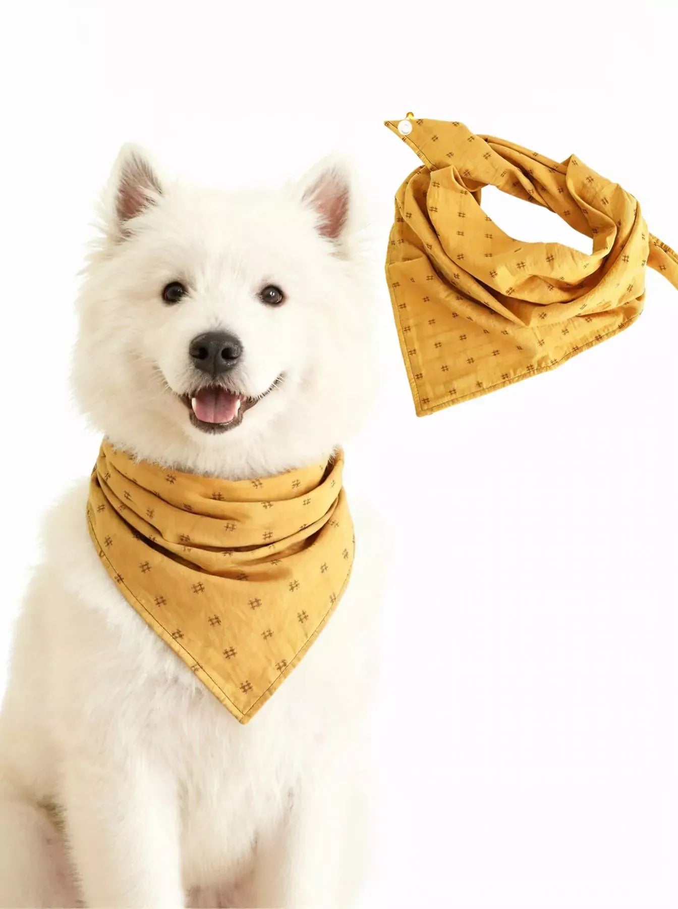 0da10f18-a9ac-4e4d-920e-d93b1c12a131-Max-Origin