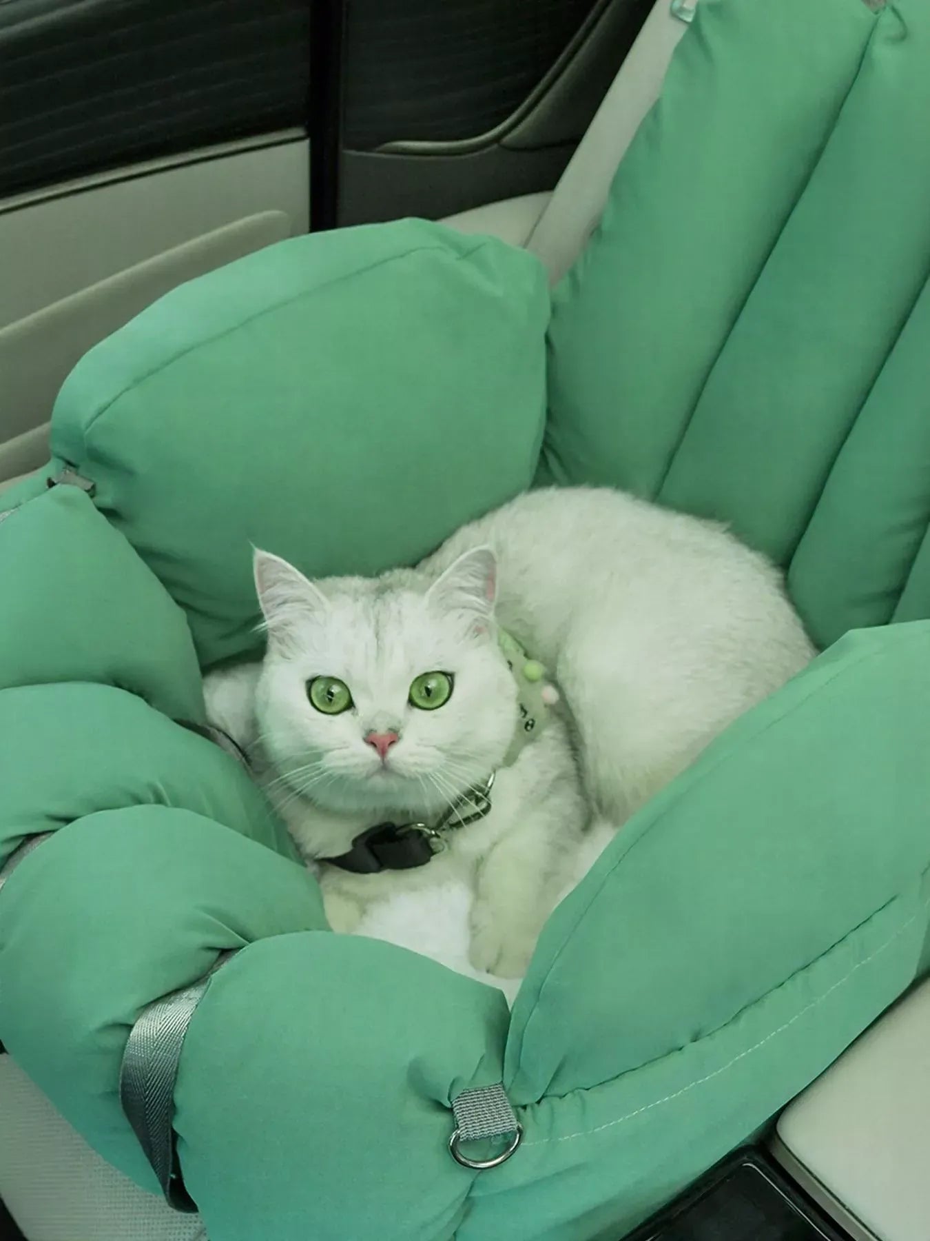 2ef66c0b-a150-4c43-962f-f7c1e1368e6b-Max-Origin