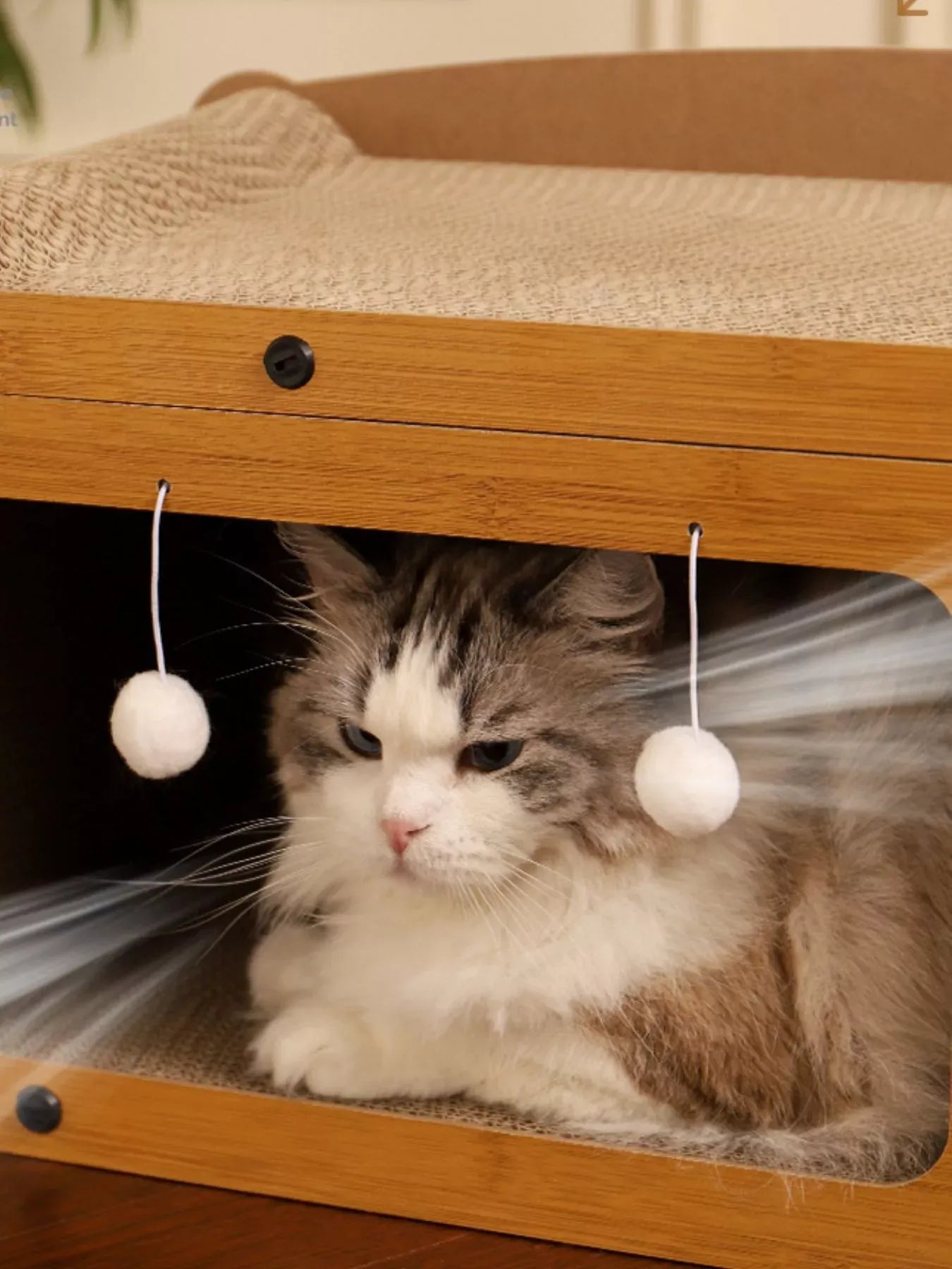 b9f7e731-52ca-4021-b3f1-91f87b6e553a-Max-Origin