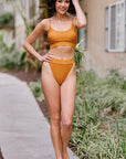 Rosy Brown Textured Two-Piece Swimsuit Sentient Beauty Fashions swimwear