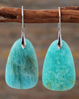 Dim Gray Natural Stone Dangle Earrings Sentient Beauty Fashions jewelry