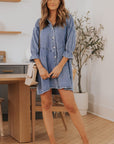 Rosy Brown Collared Neck Flounce Sleeve Denim Mini Dress